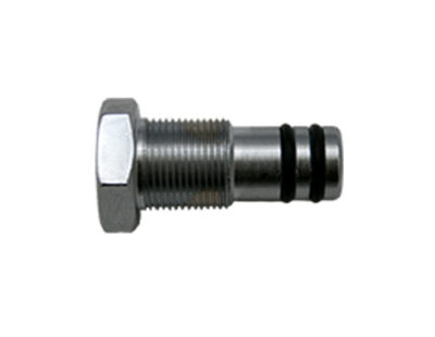 Blanking plug for extendable valve