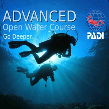 padi open water diver final exam quizlet